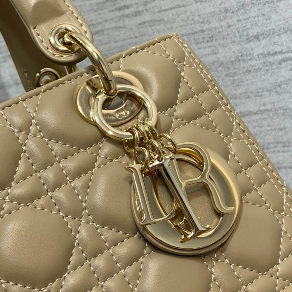 Medium Lady Dior Bag(HIGH-END GRADE) - Top Club