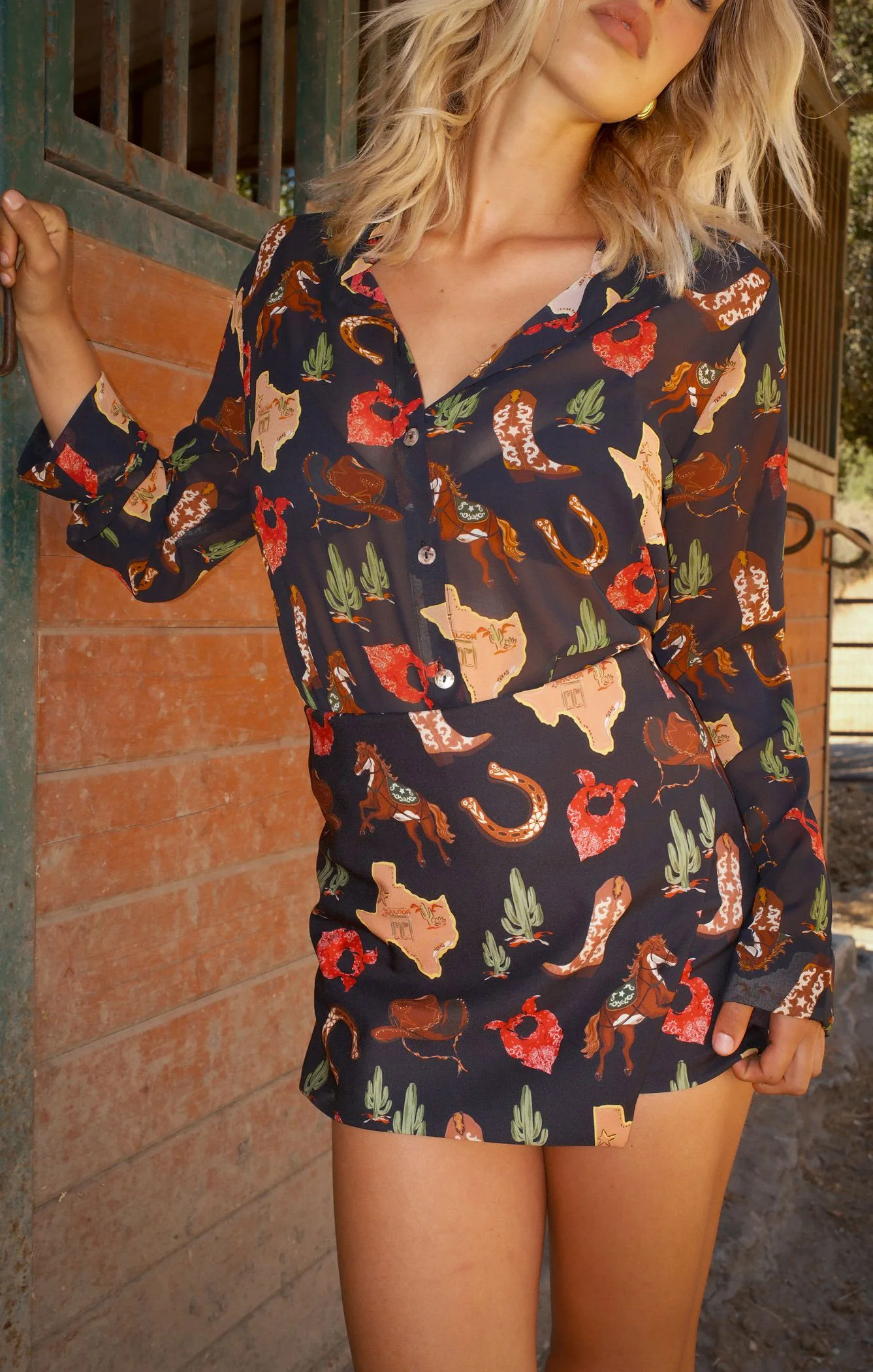 Smith Button Down ~ Texas Hold Em