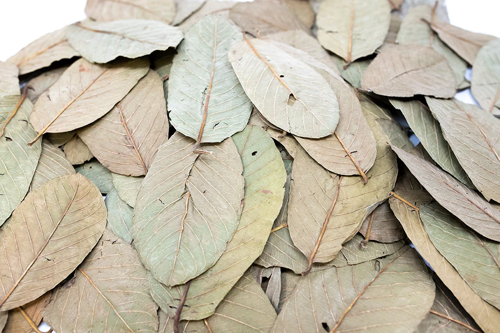 Aquatic Arts Guava Leaves