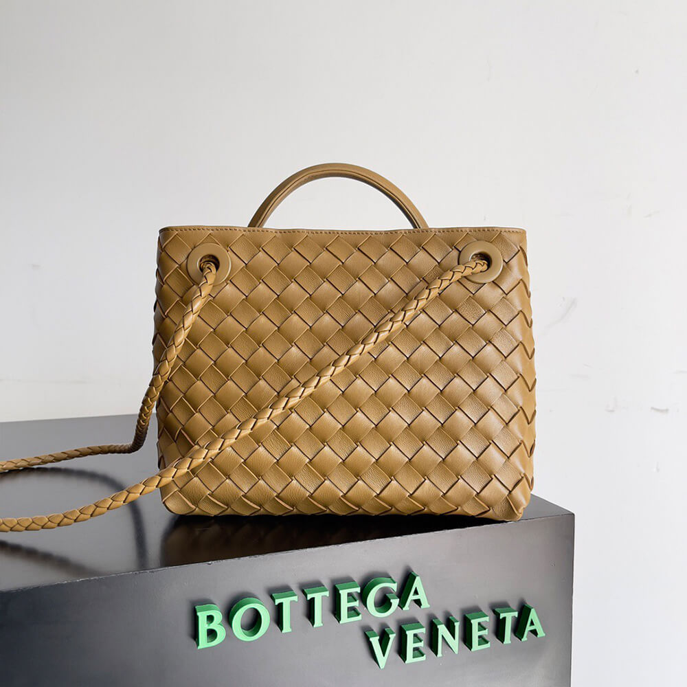 Bottega Veneta Small Andiamo - Top Club