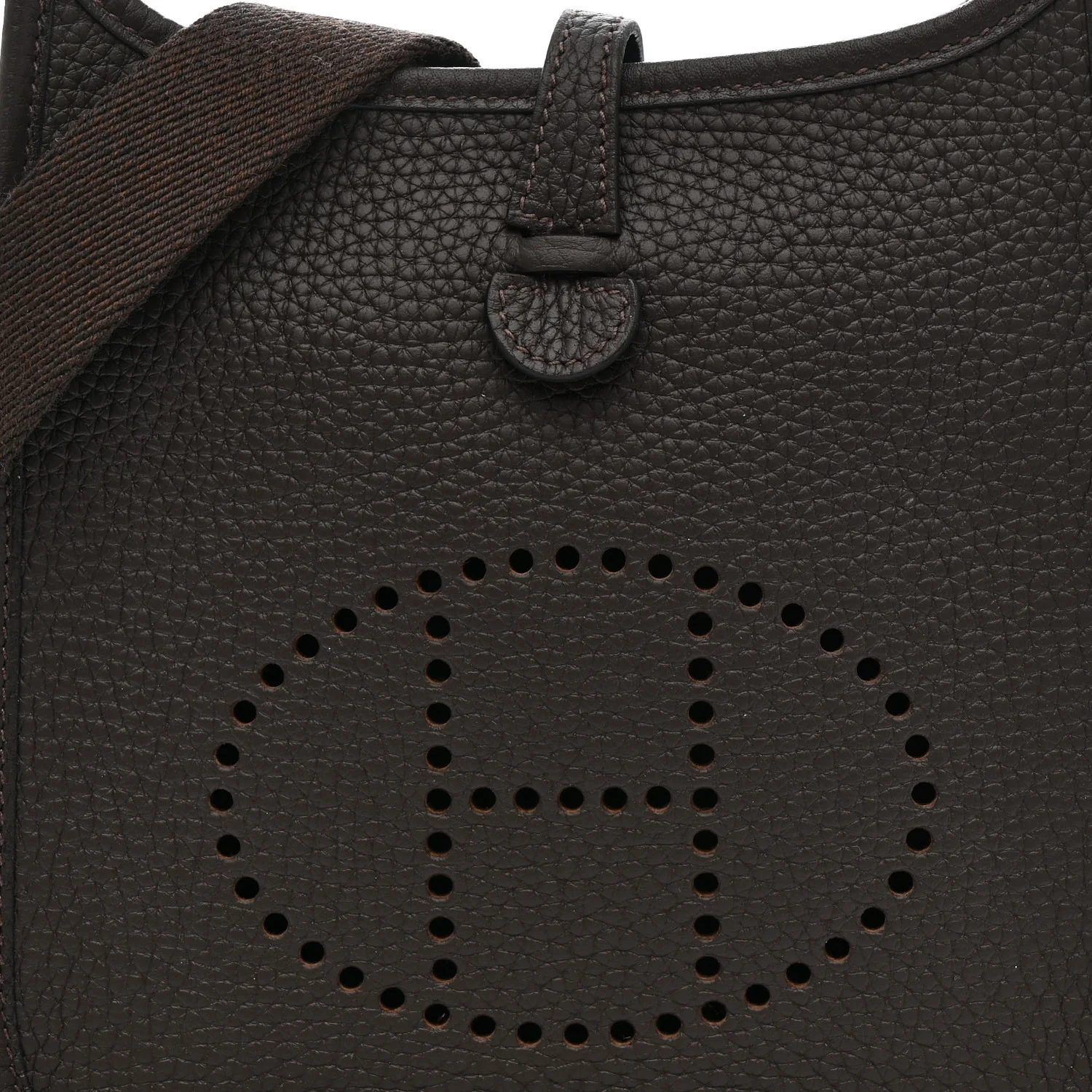 Taurillon Clemence Evelyne TPM Chocolate - Top Club