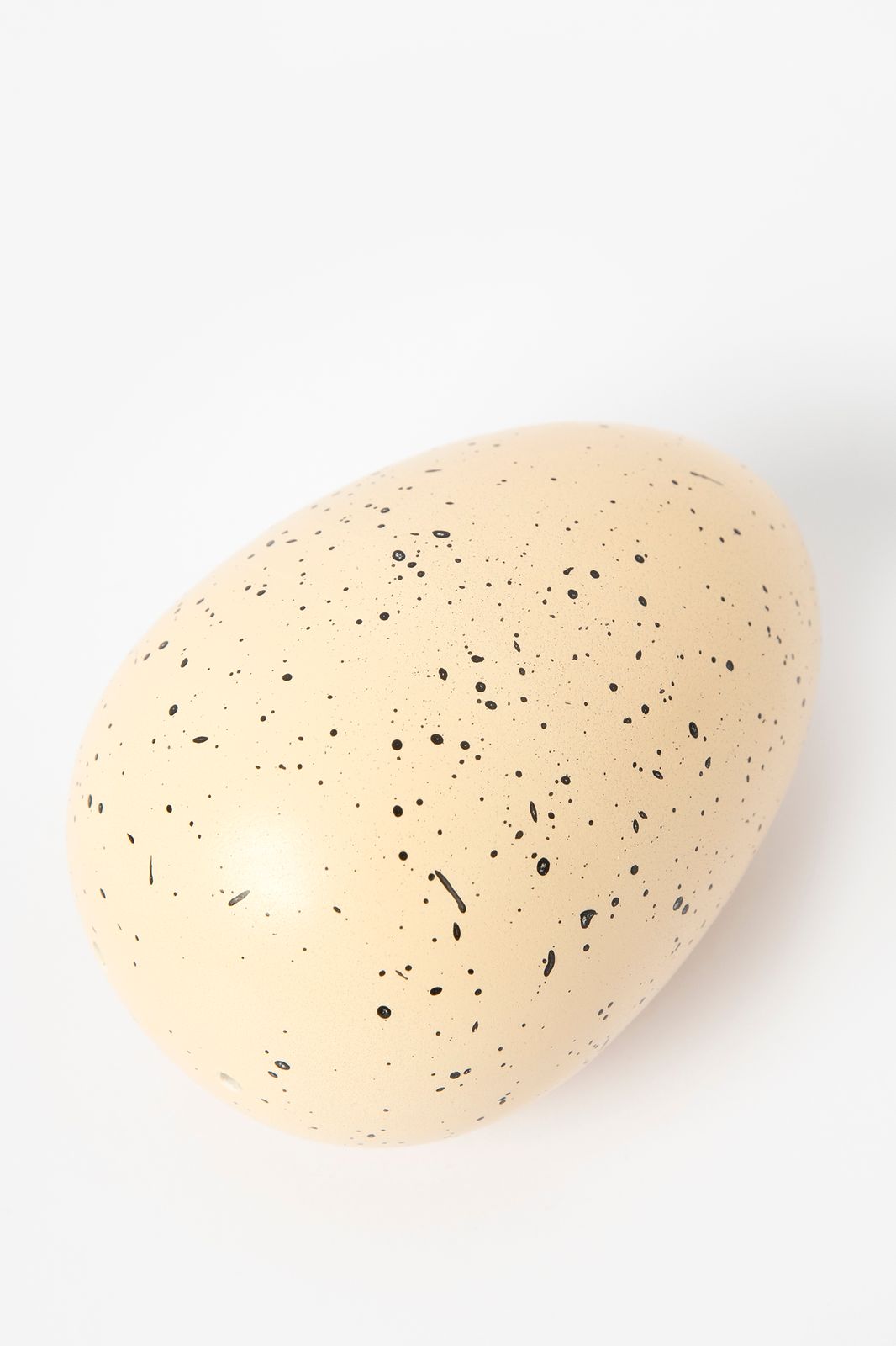 Rex London grow your own dinosaur