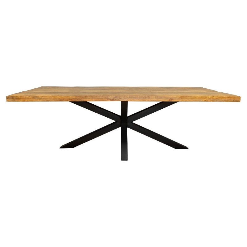 Rechthoekige eettafel Maas Maat 160 Matrixpoot