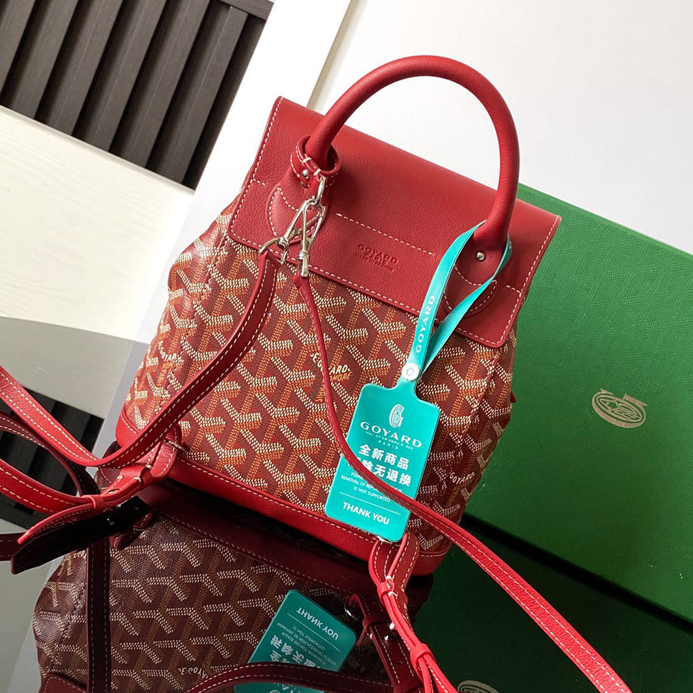 Goyard Alpin Mini Backpack - Top Club