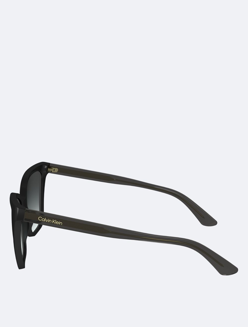 COACH Cat Eye Sunglasses