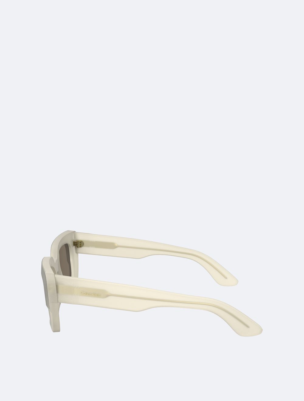 COACH Naturals Modern Butterfly Sunglasses