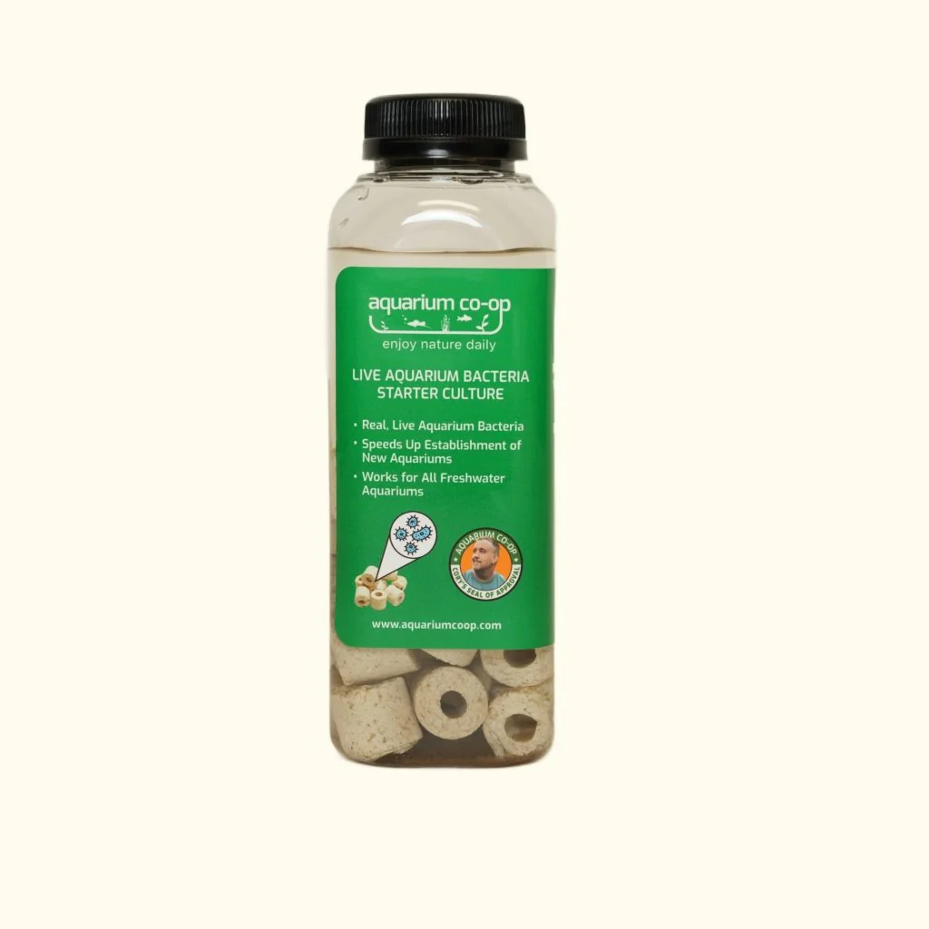 Live Aquarium Bacteria Starter Culture