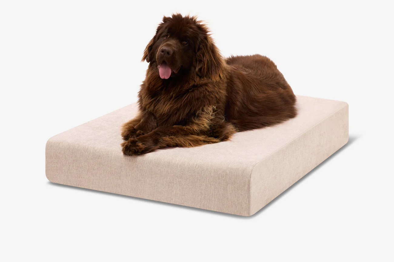 Original Orthopedic Dog Bed - Sleek Edition