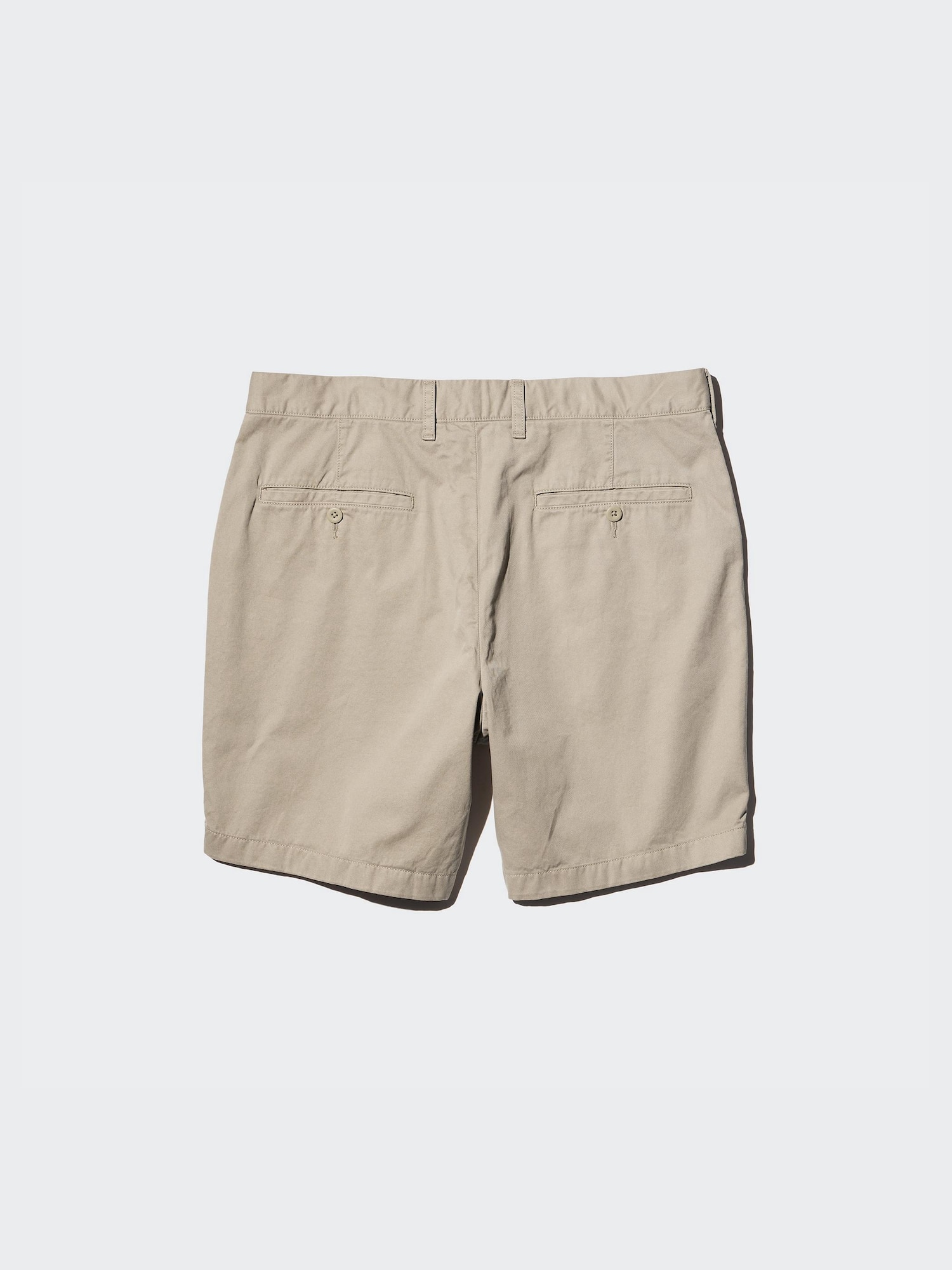 Chino Shorts