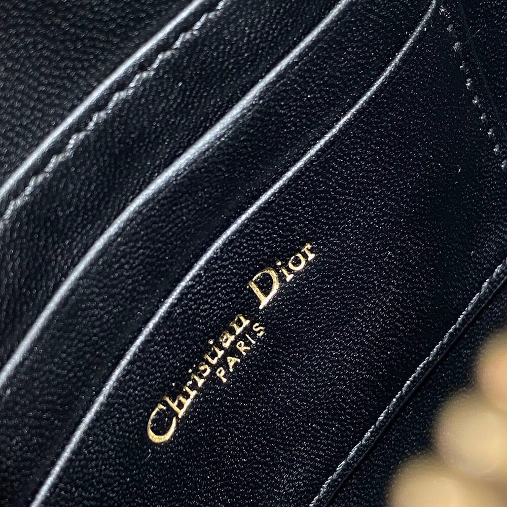 Dior Saddle Rodeo Pouch - Top Club