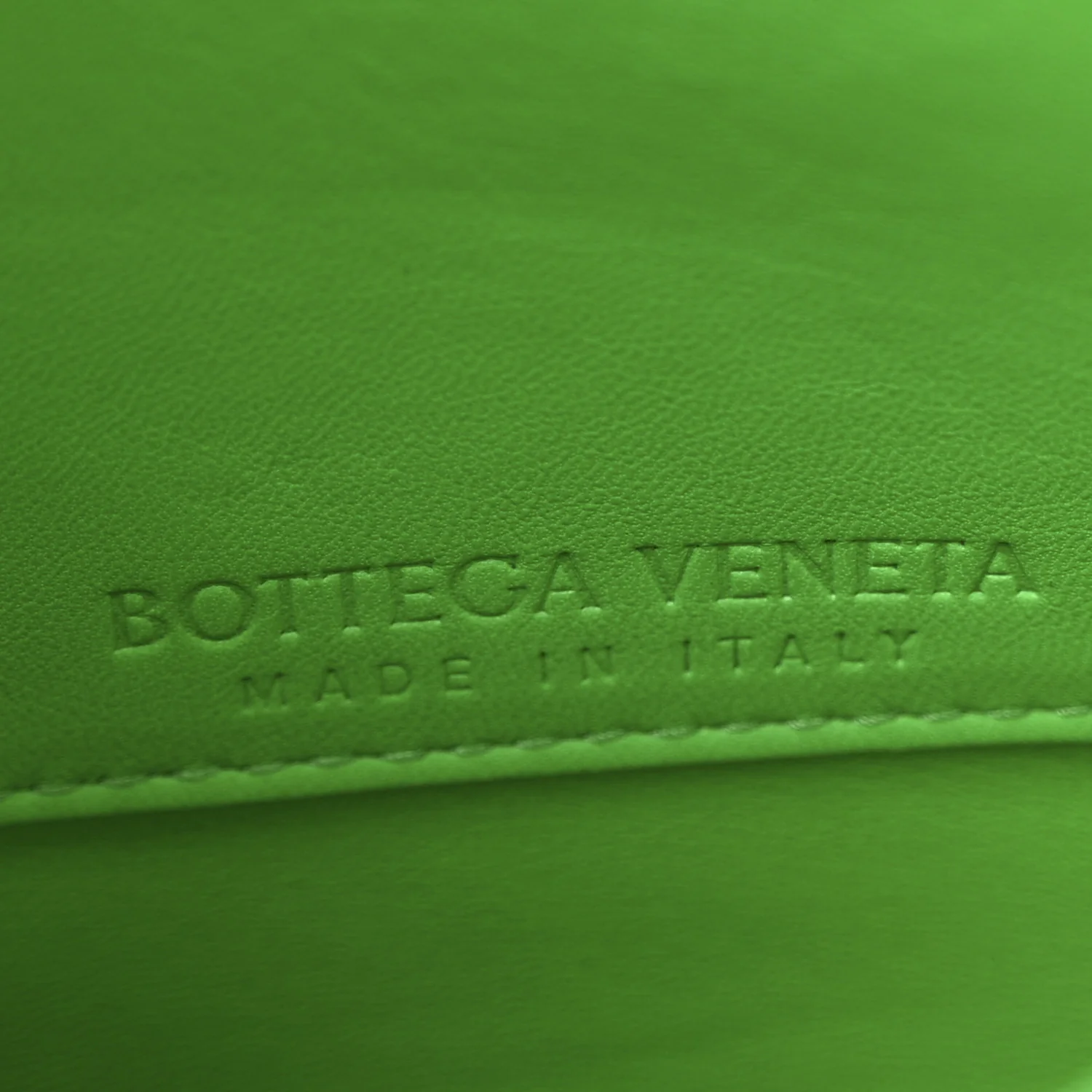 Calfskin Mount Envelope Bag Parakeet - Top Club
