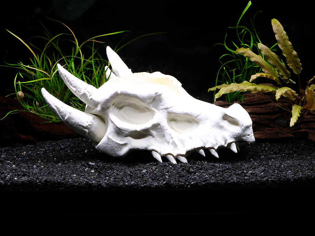 Aquarium Decor & Shrimp Hide Collection – Skull Caves and Sinking Shrimp Ornament