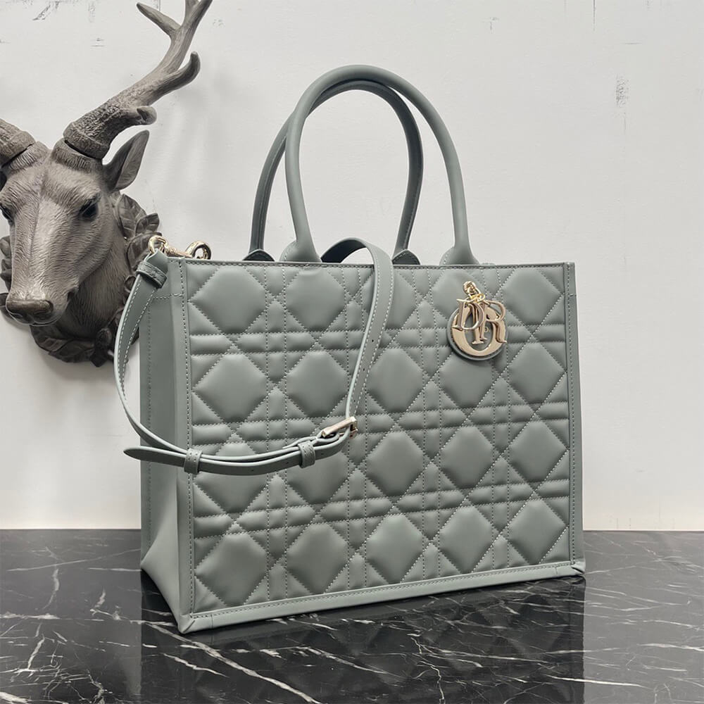 Dior Medium Dior Book Tote - Top Club
