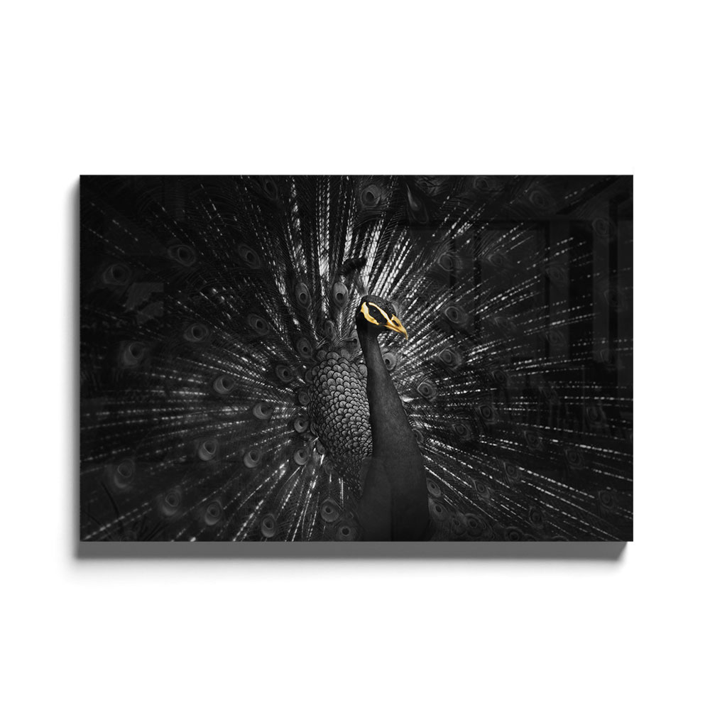 Walljar acrylglas schilderij - Golden Peacock Acrylglas schilderij - 150 x 225 cm