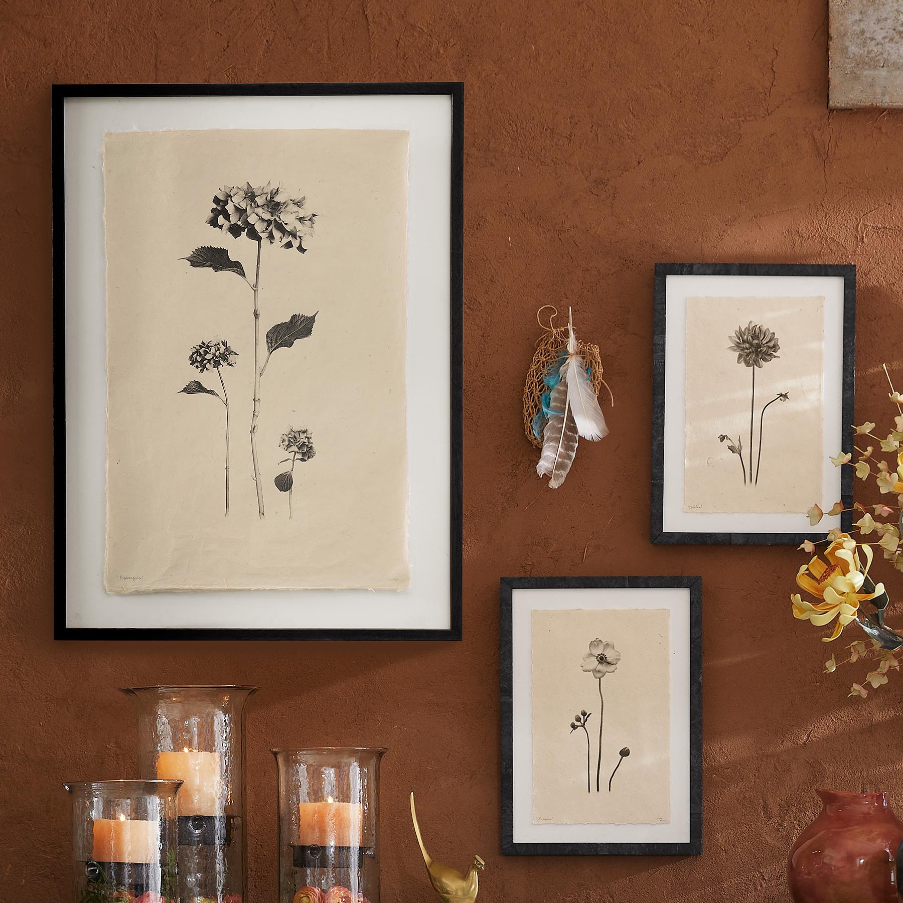 Flower Studies Print - Sundance Living