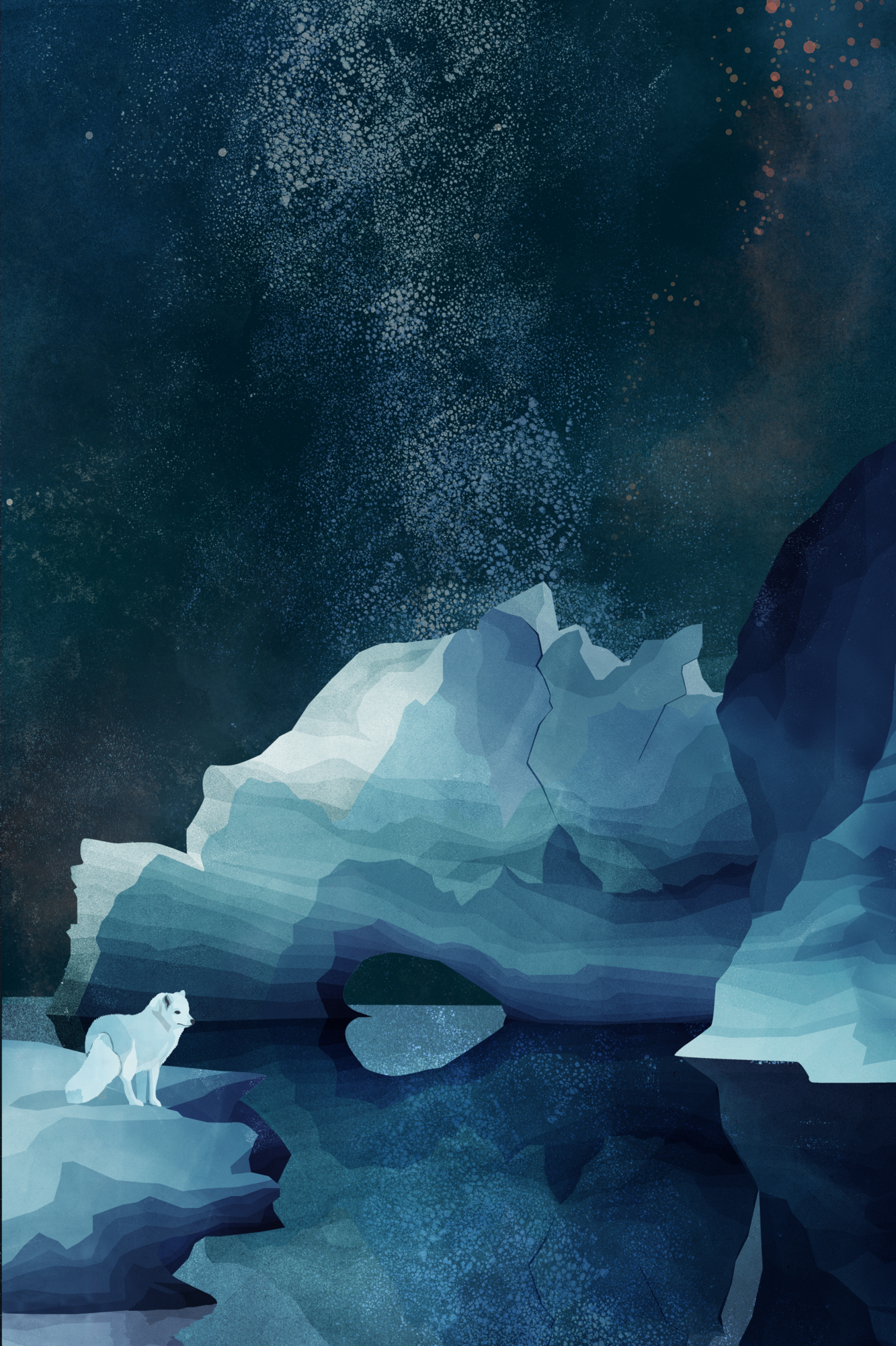 Poster Arctic Fox 20 x 30 cm