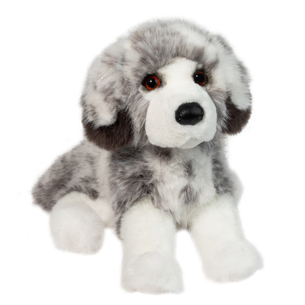 Skylar Australian Shepherd