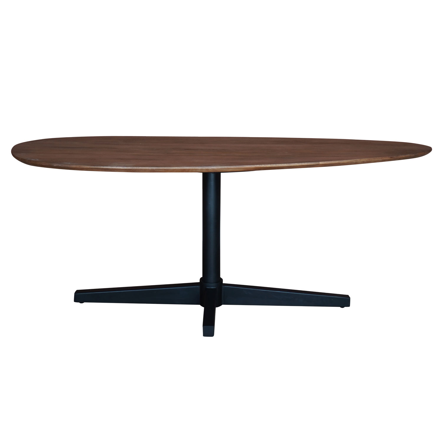 Eettafel Ray mangohout 240x100 cm