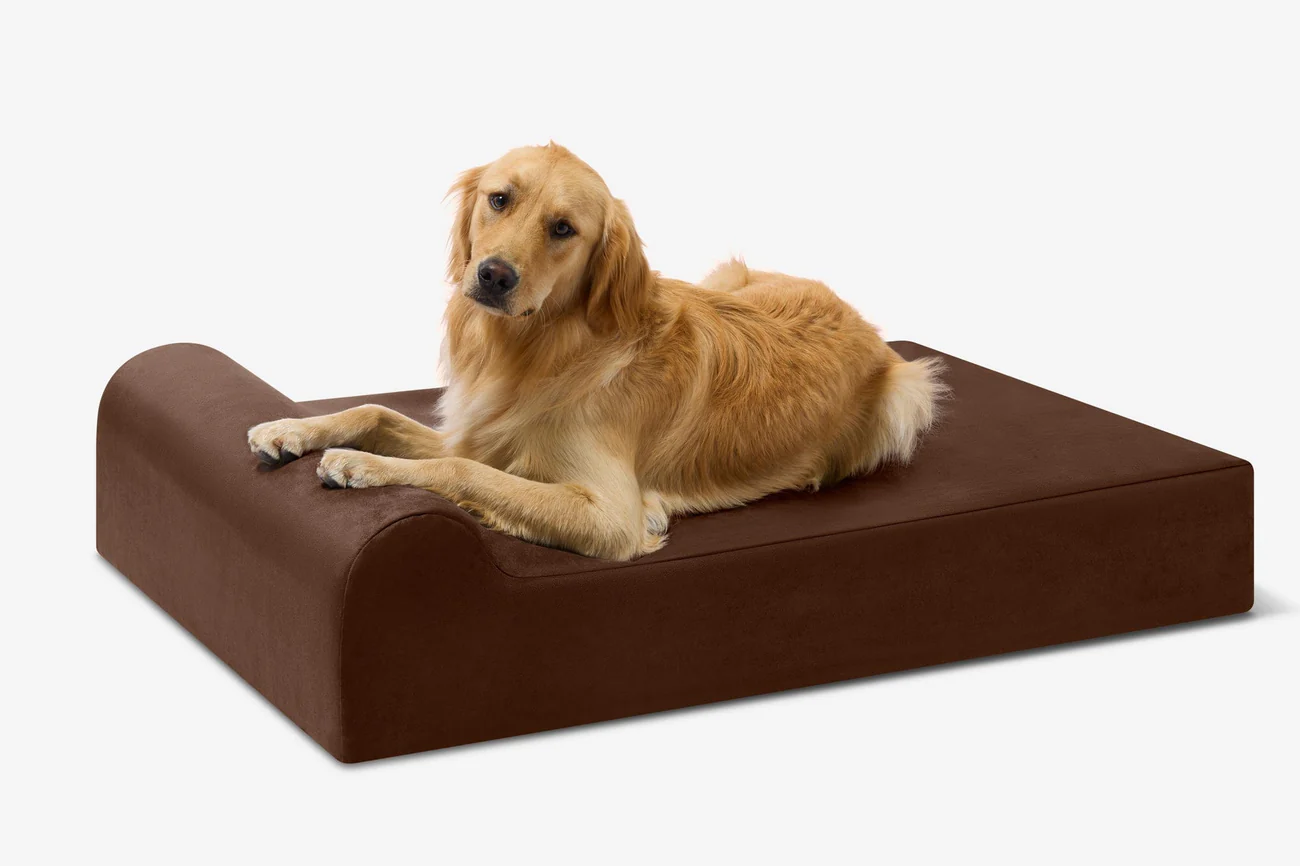 Original Orthopedic Dog Bed - Chocolate
