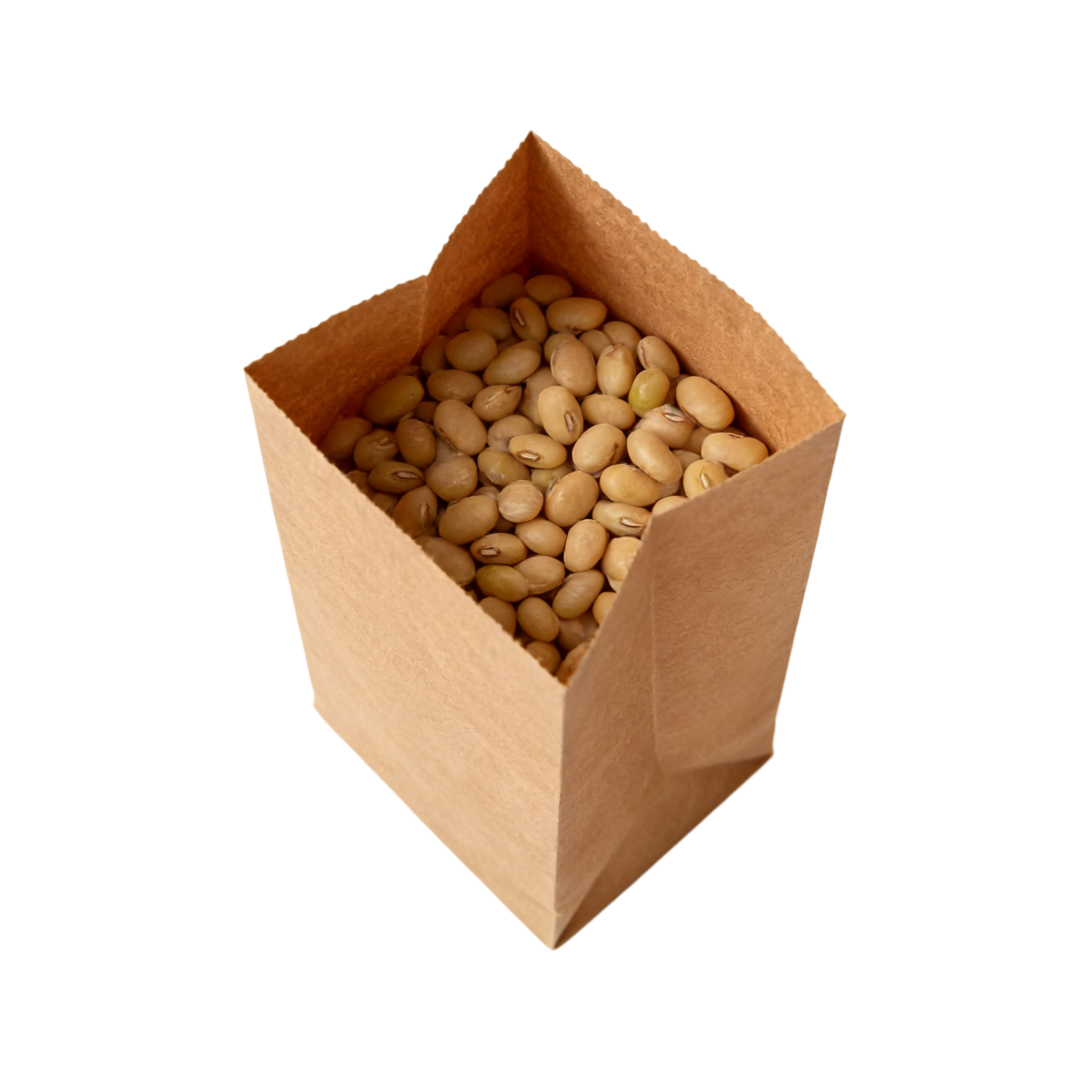 Snack Paper Bags