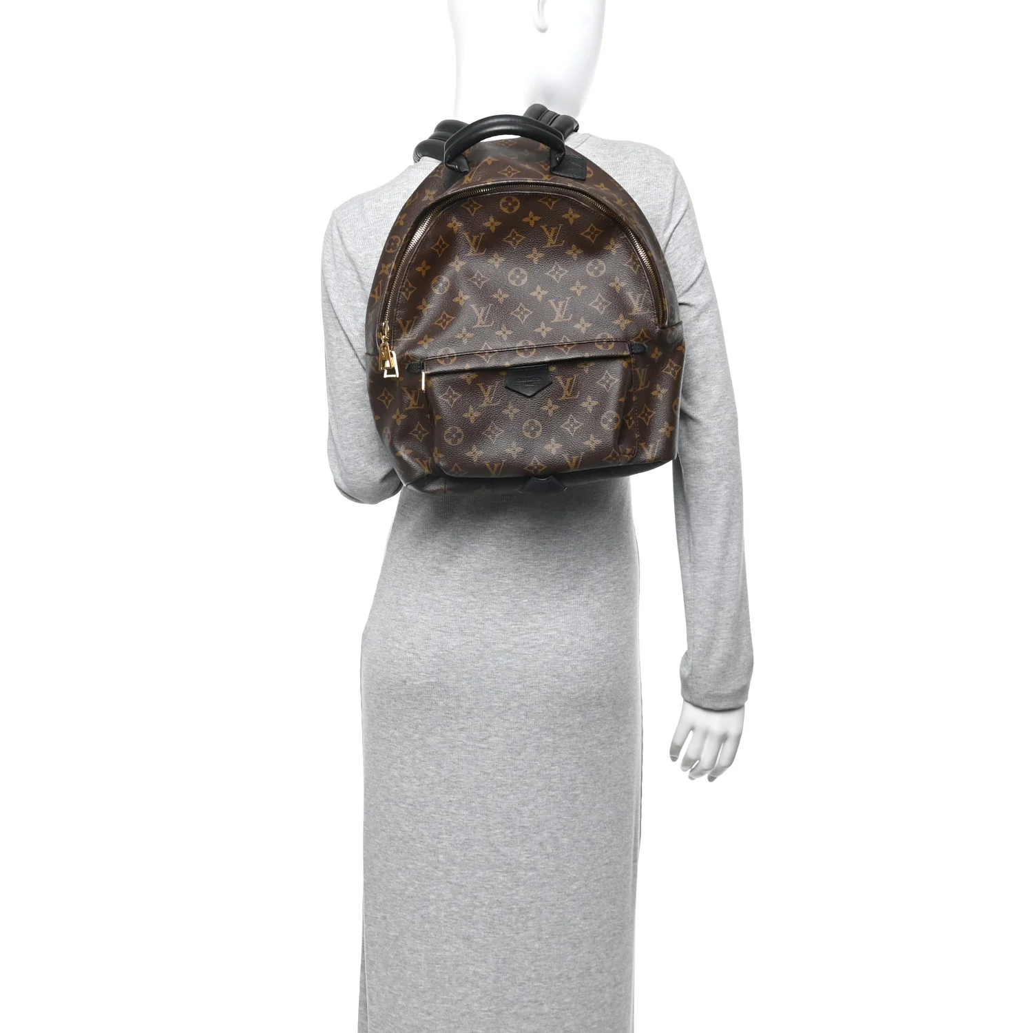 Monogram Palm Springs Backpack MM