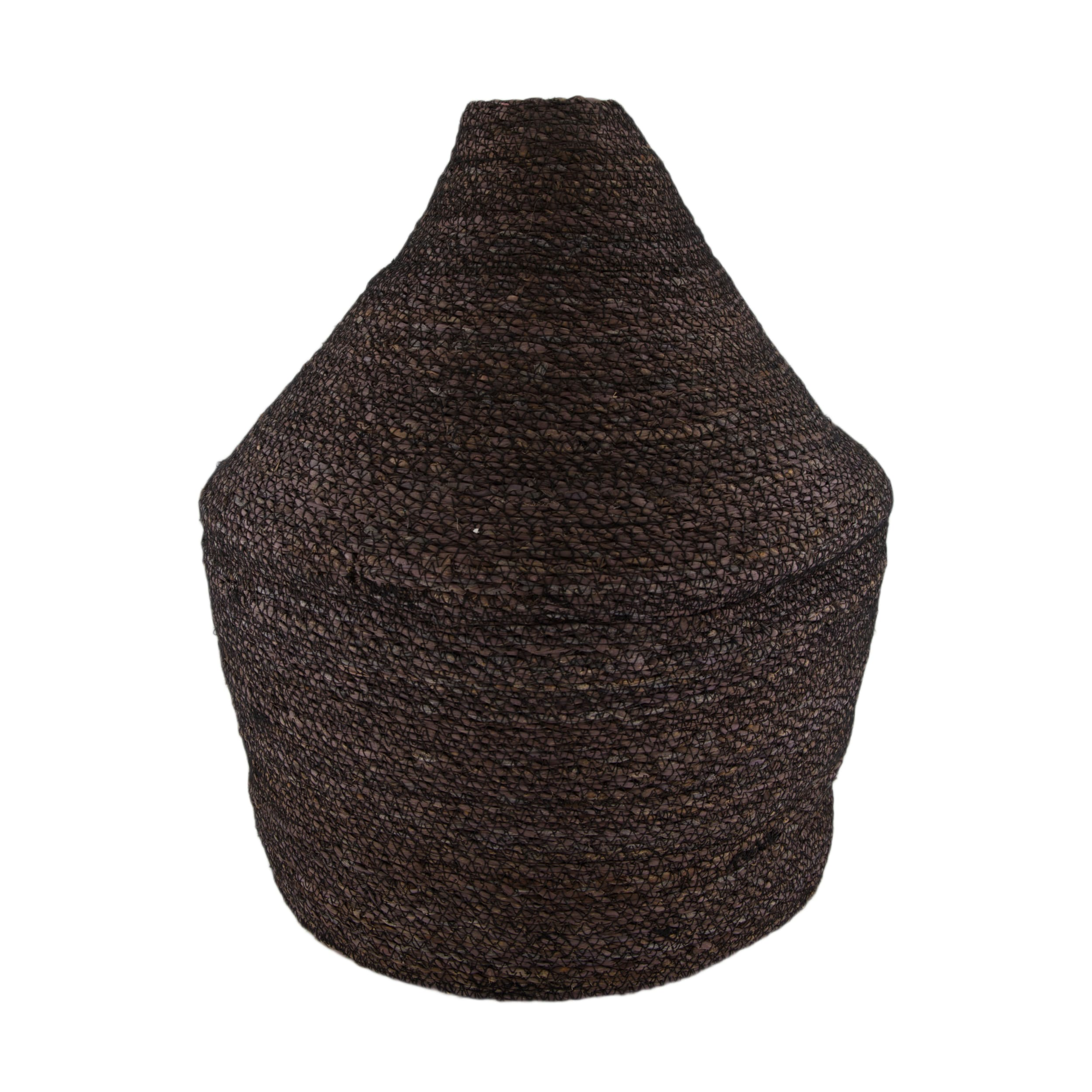 Bottle seagrass