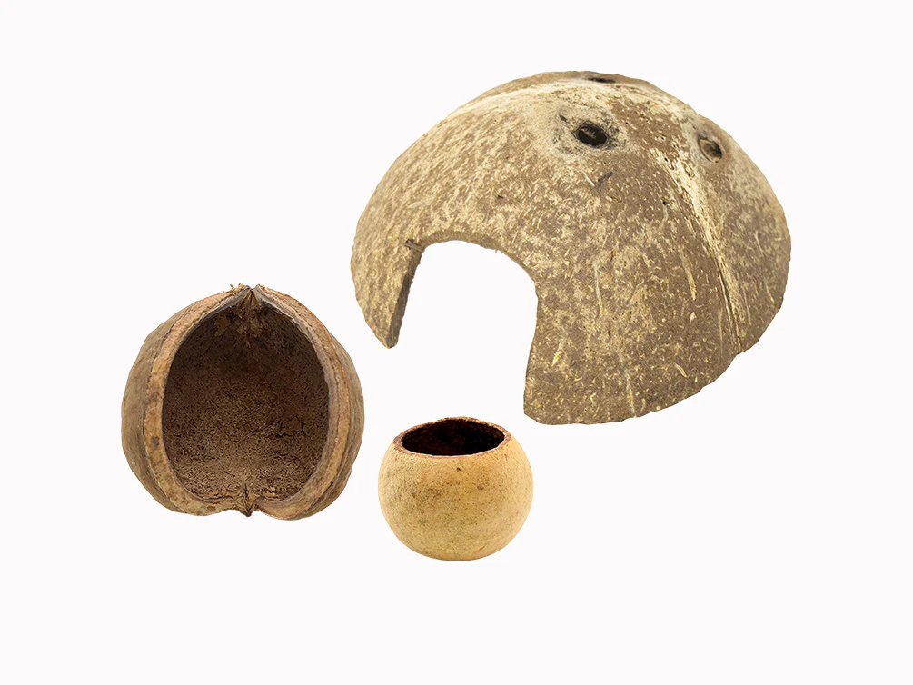 Aquatic Arts Natural Hide Combo Pack — Coconut Hut, Beal & Buddha Pods