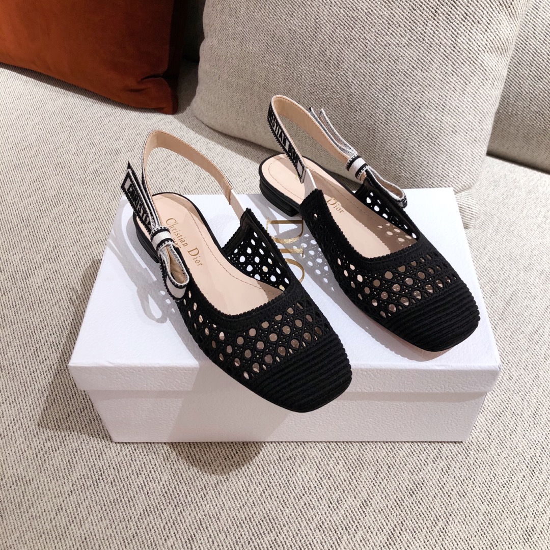 DIOR FLATS 31 - Sneaker Replica Workshop