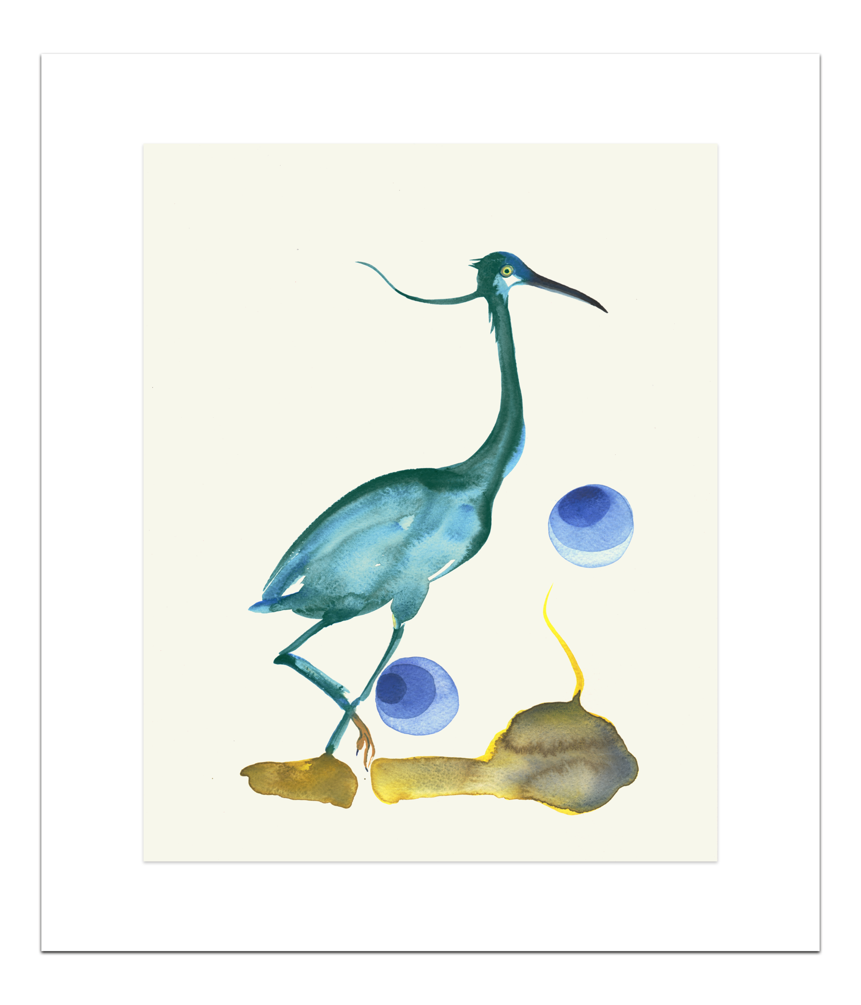 Poster Blauwgroene Reiger 40 x 50 cm