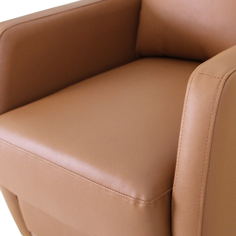 Benita Swivel Recliner