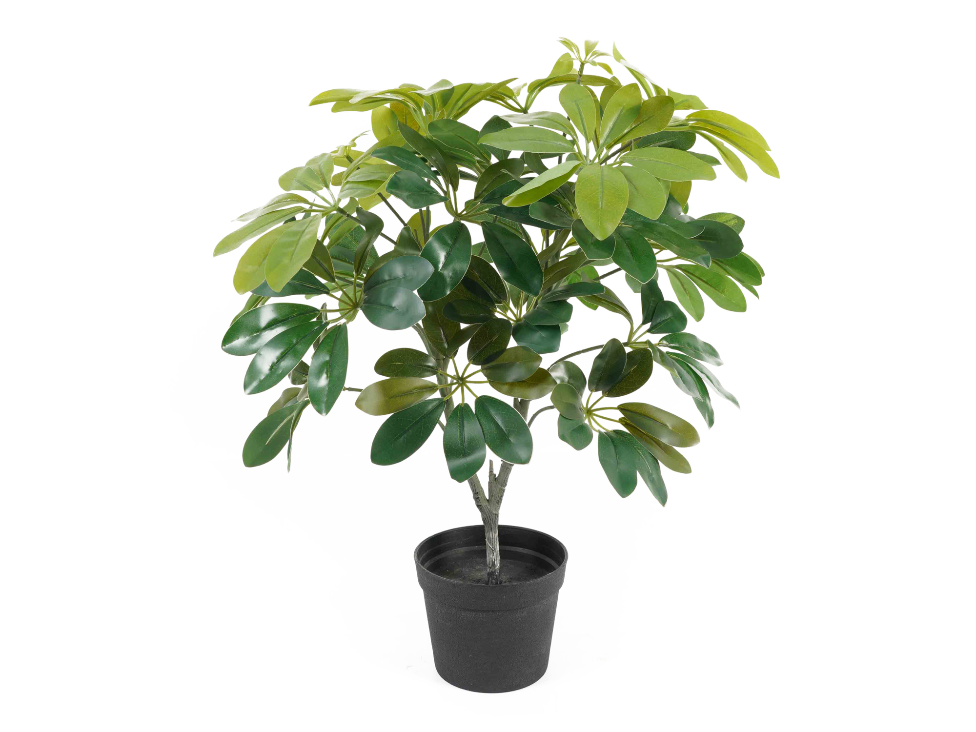 Artificial plant Shefflera green