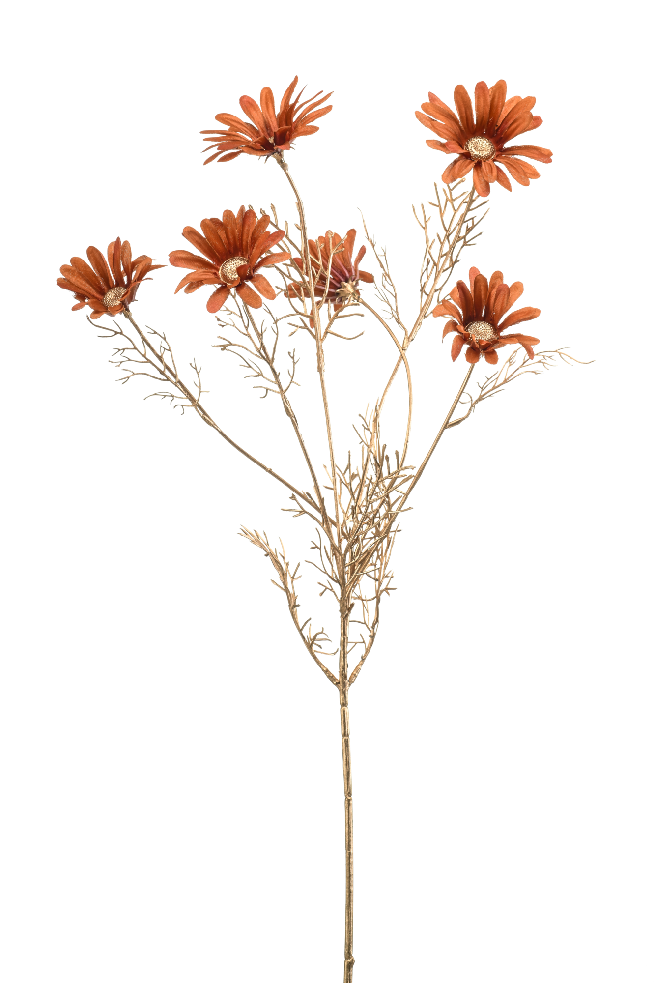 Daisy spray orange