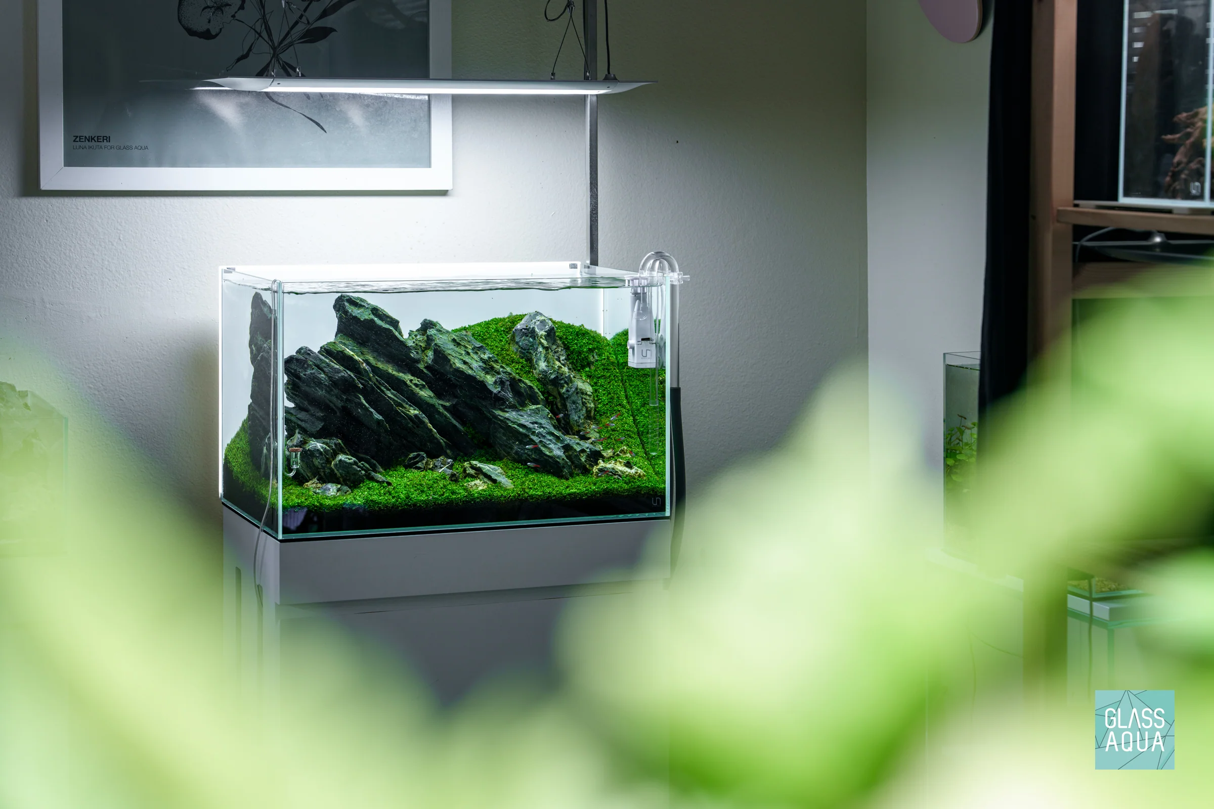 Build Your Own Aquarium Kit - Standard Tank