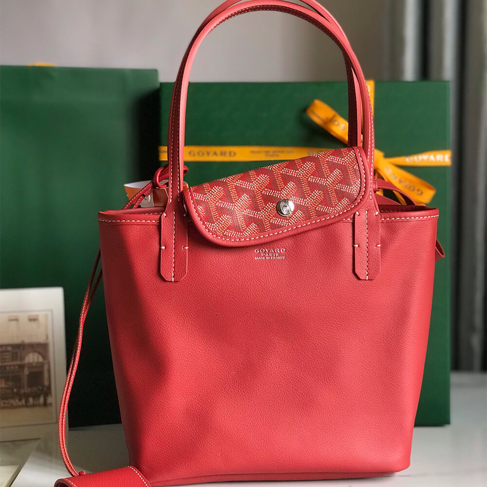 Goyard Anjou Mini Bag - Top Club