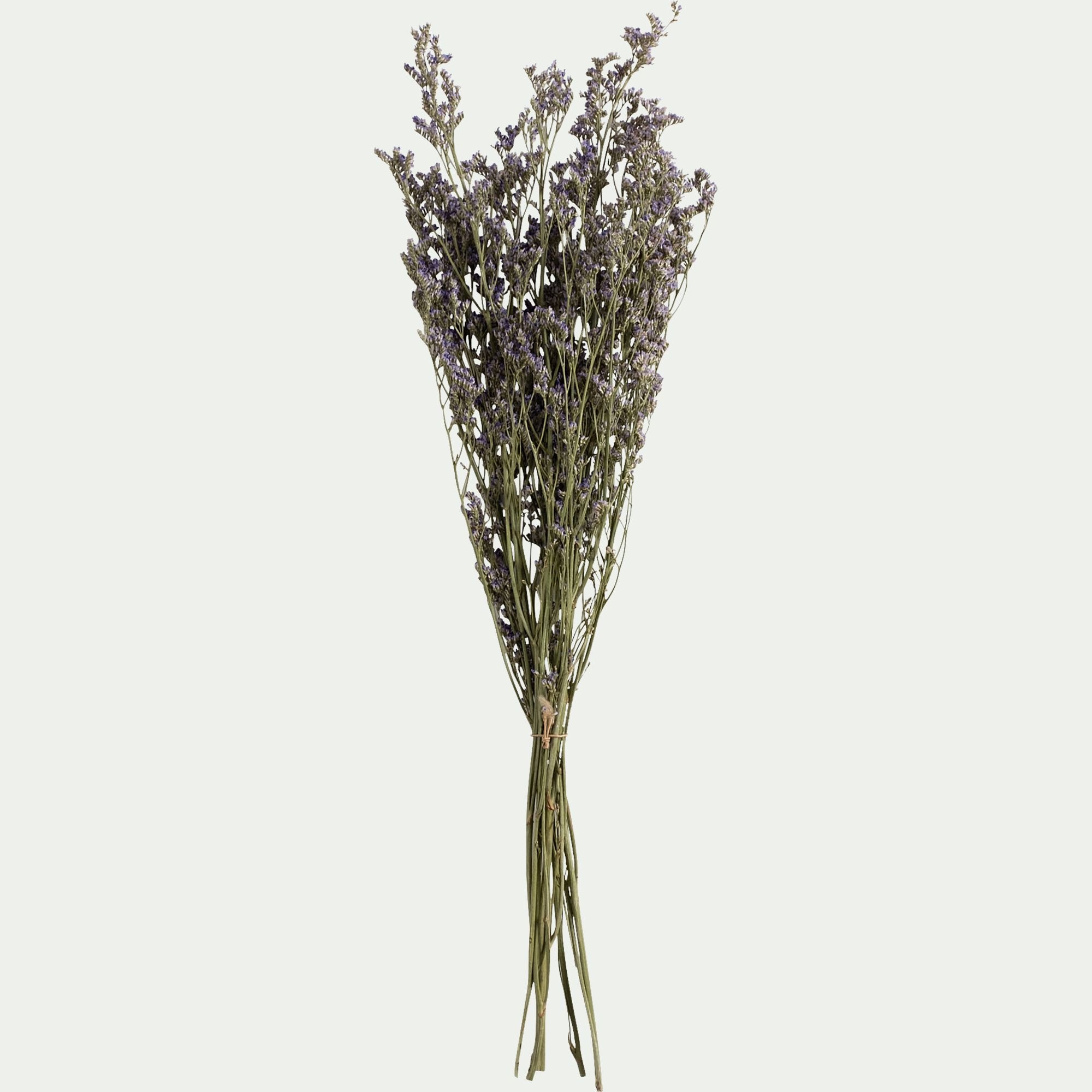 FLORALIE - Bottes de saladelles sinuées séchées 55cm - violet