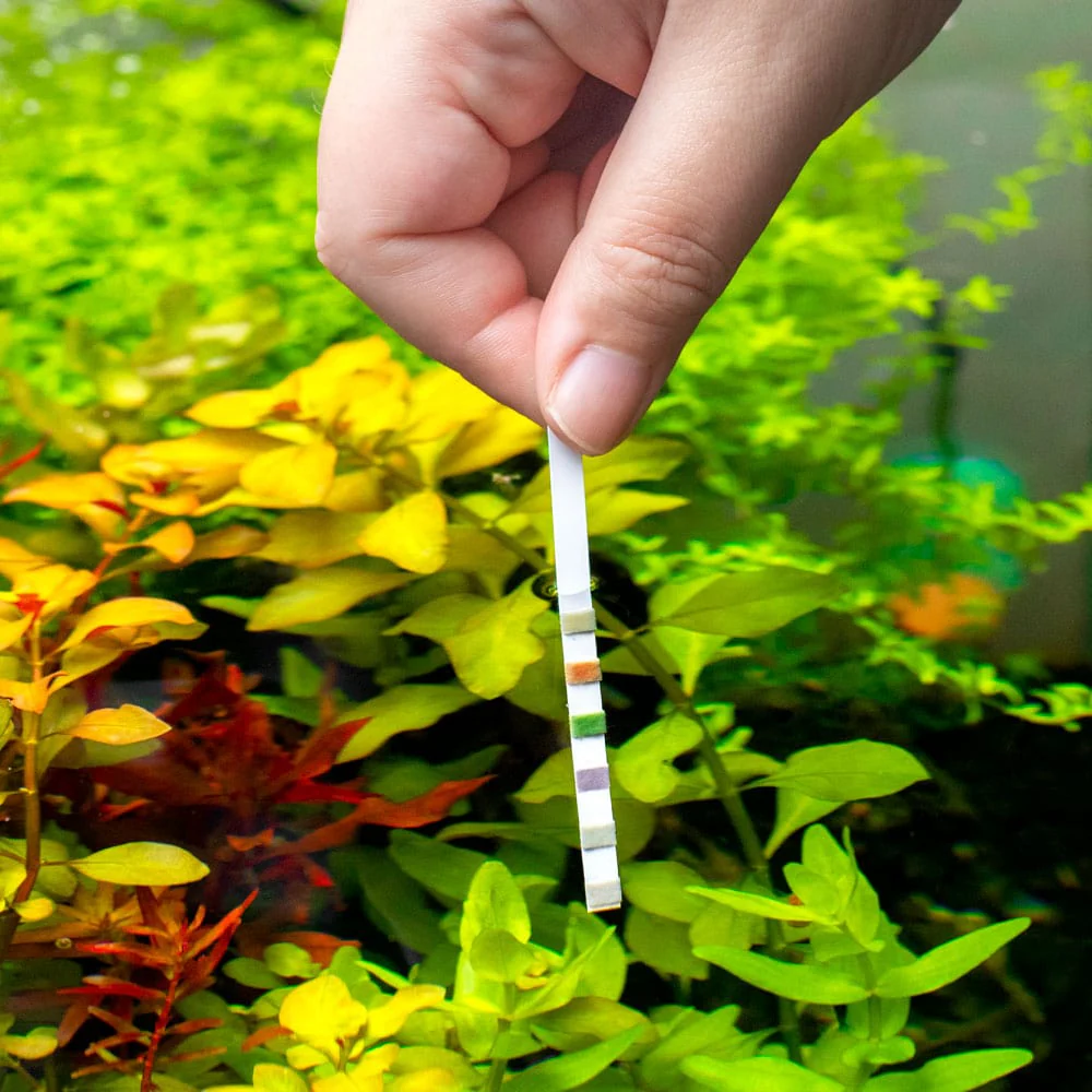 Aquarium Co-Op Multi-Test Strips