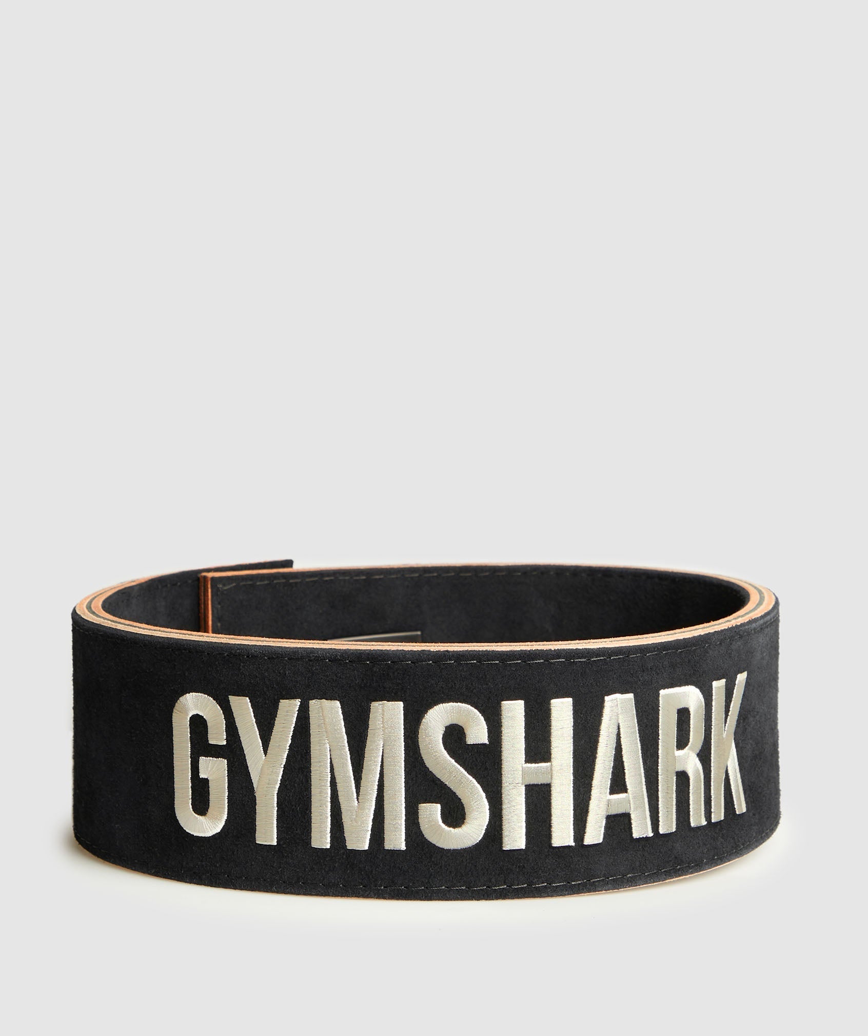 COACH Lever Lifting Belt