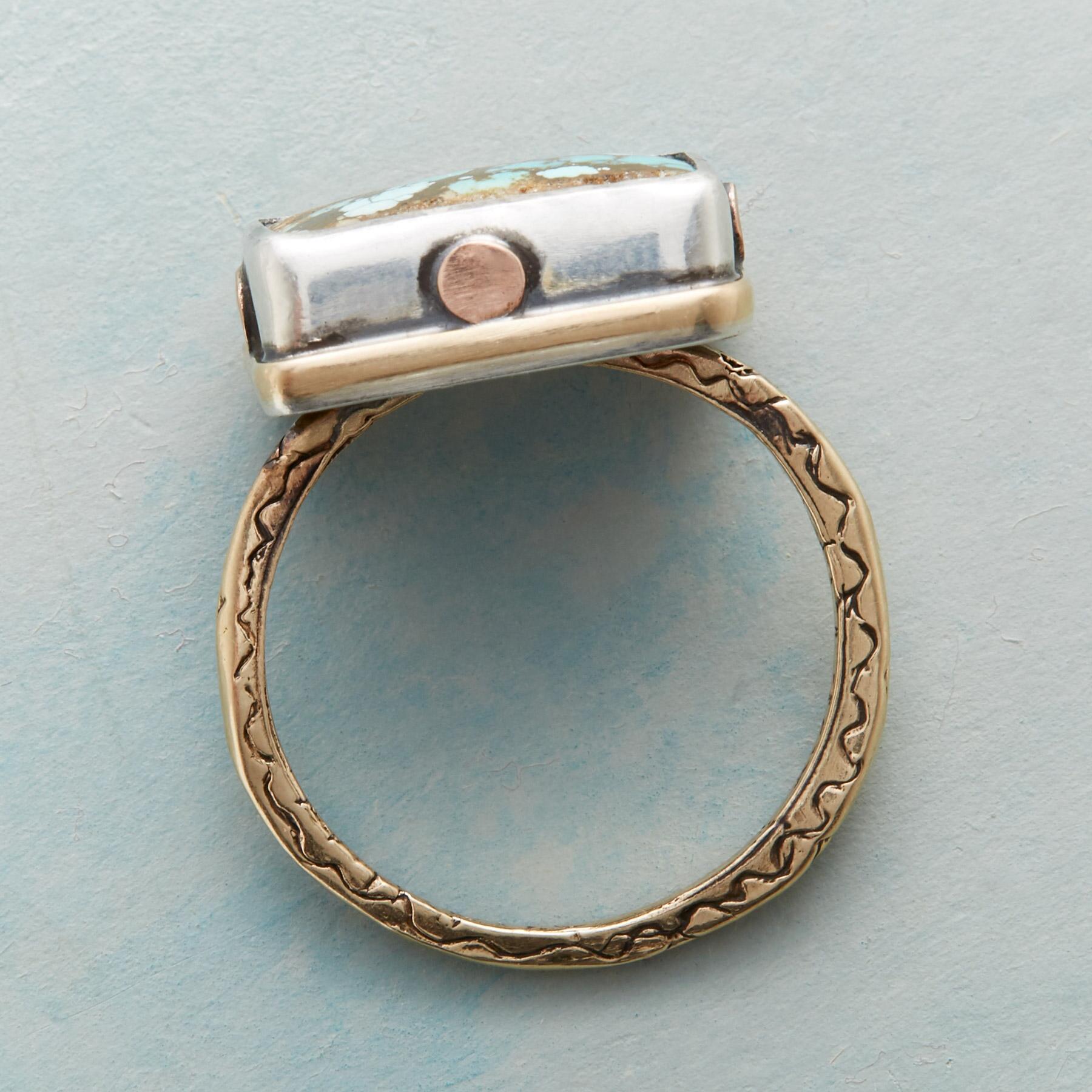 Riveting Turquoise Ring - Sundance Living