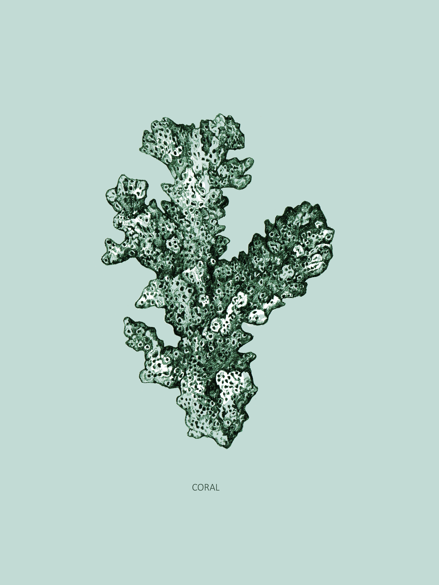 Poster Coral 30 x 40 cm