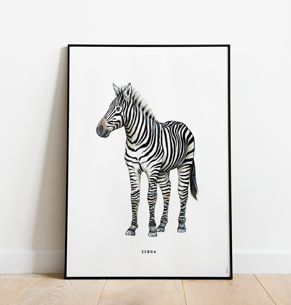 Poster Bintje Zebra