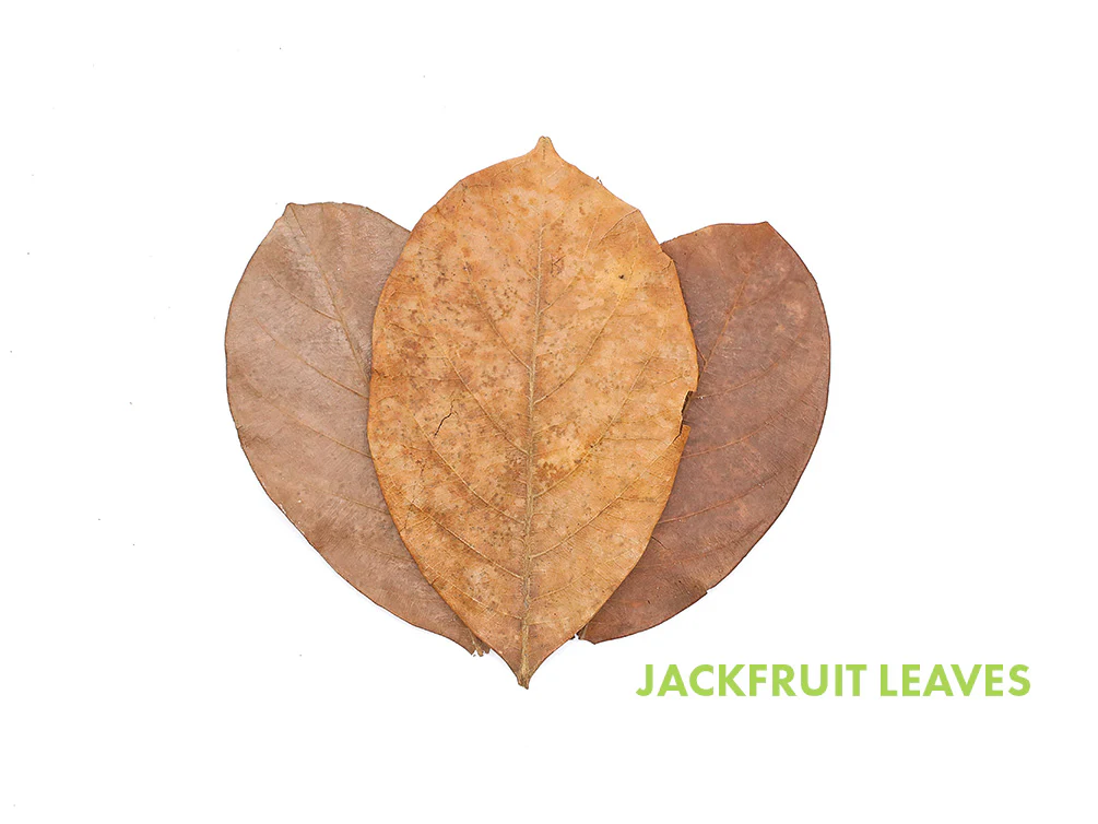 Aquatic Arts Mixed Fruit Leaf Botanical Pack (Mango, Guava, Banana & Jackfruit) - Dried Botanicals
