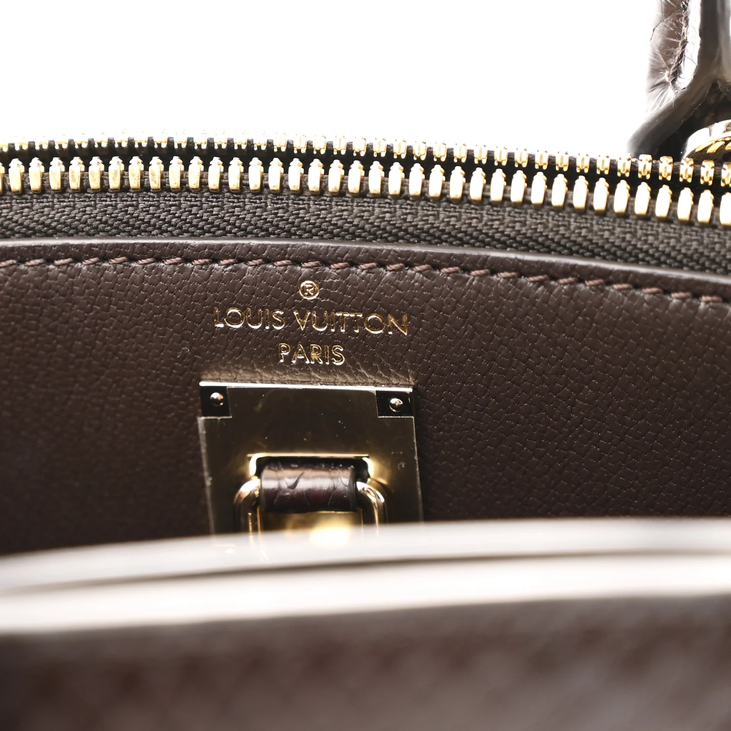 Snakeskin Monogram City Steamer Mini Brown - Top Club