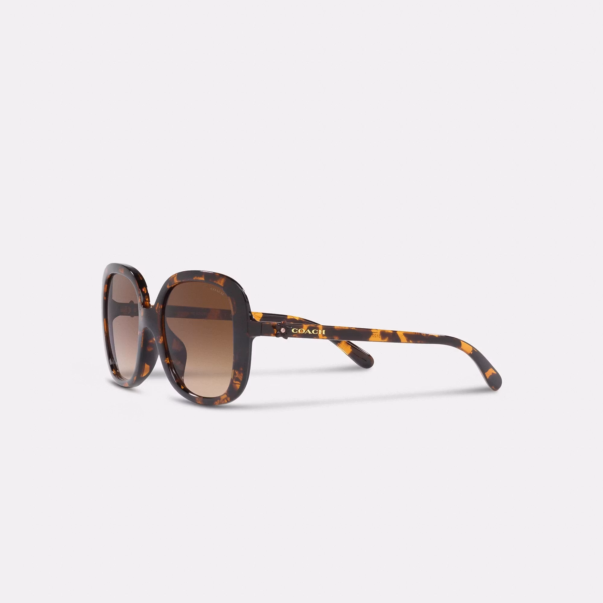 COACH Coach Fashion Sunglasses