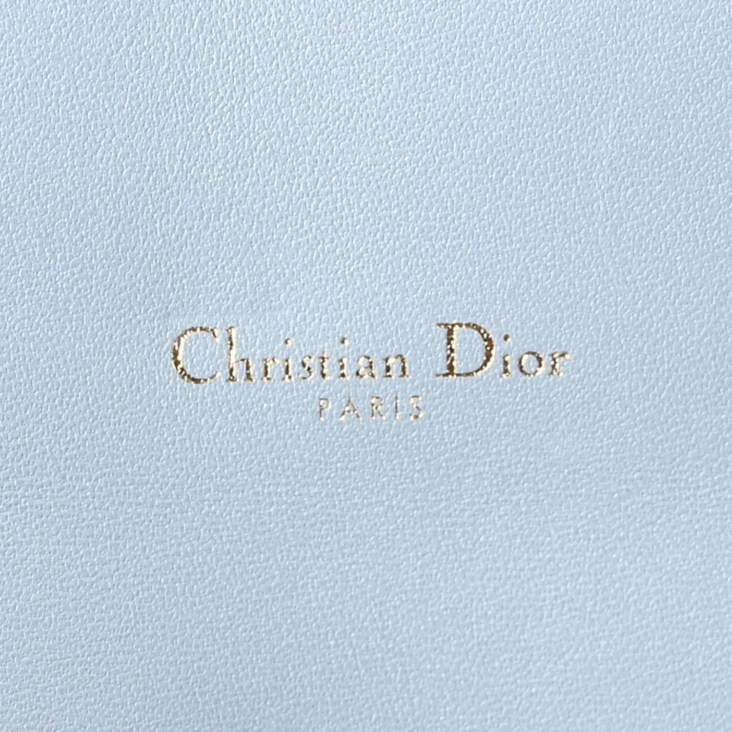Grained Calfskin Saddle Chain Pouch Cloud Blue - Top Club