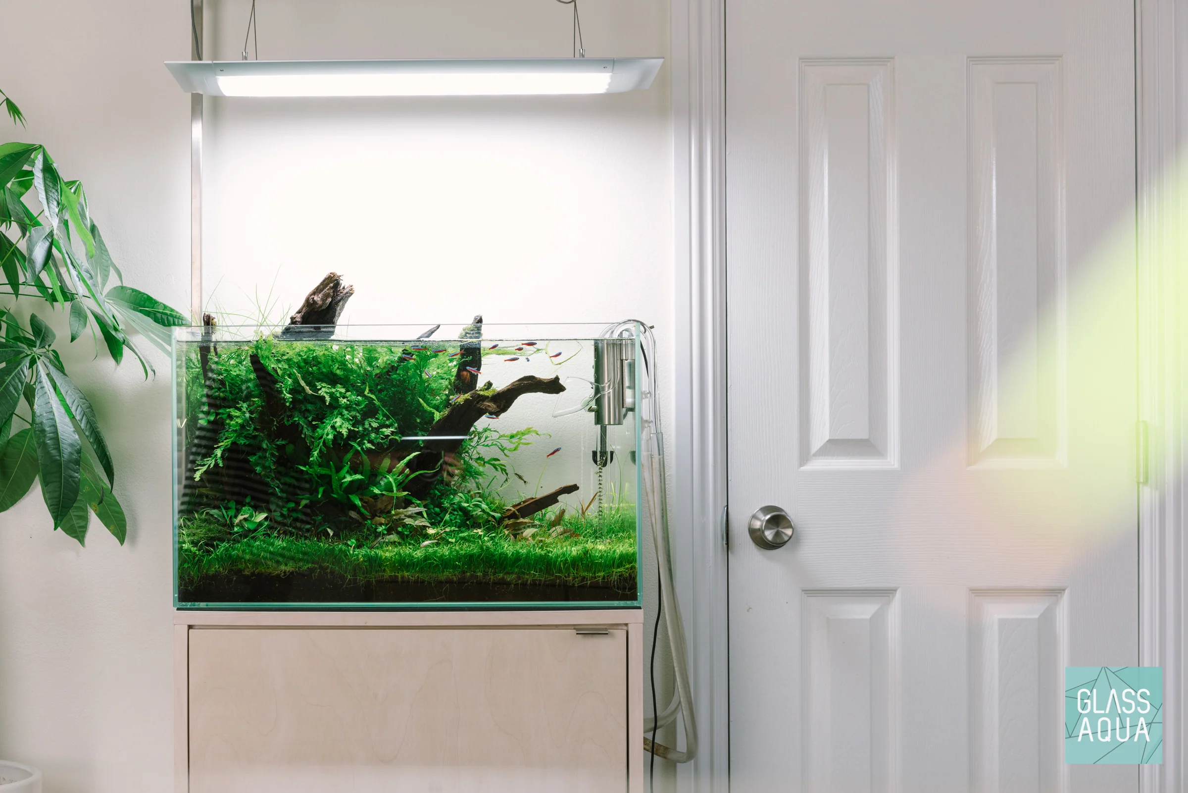 UNS Rimless Standard Glass Aquarium Tank