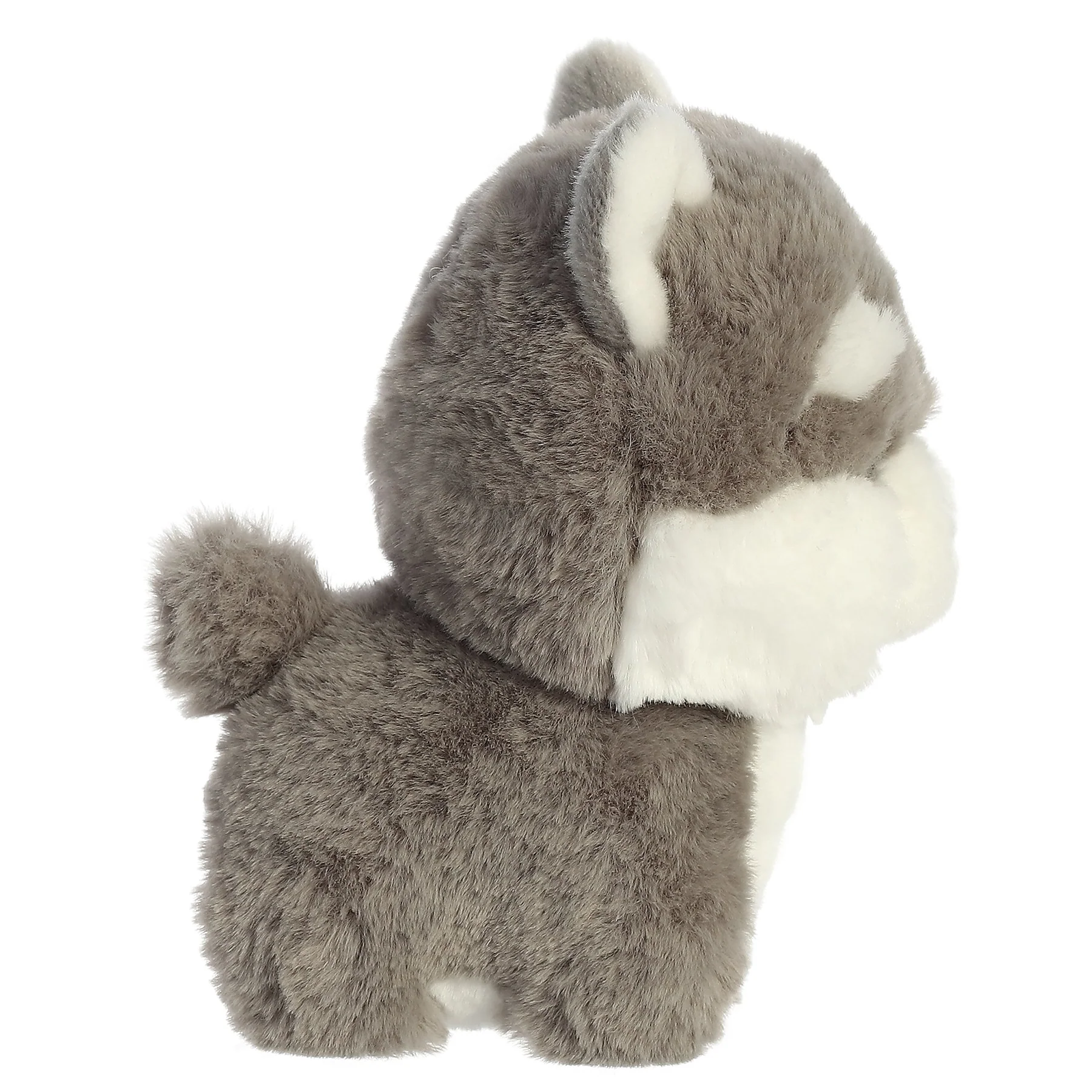 Husky Dog Puppy 7