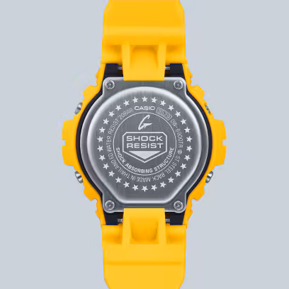 DW6900TR-1
