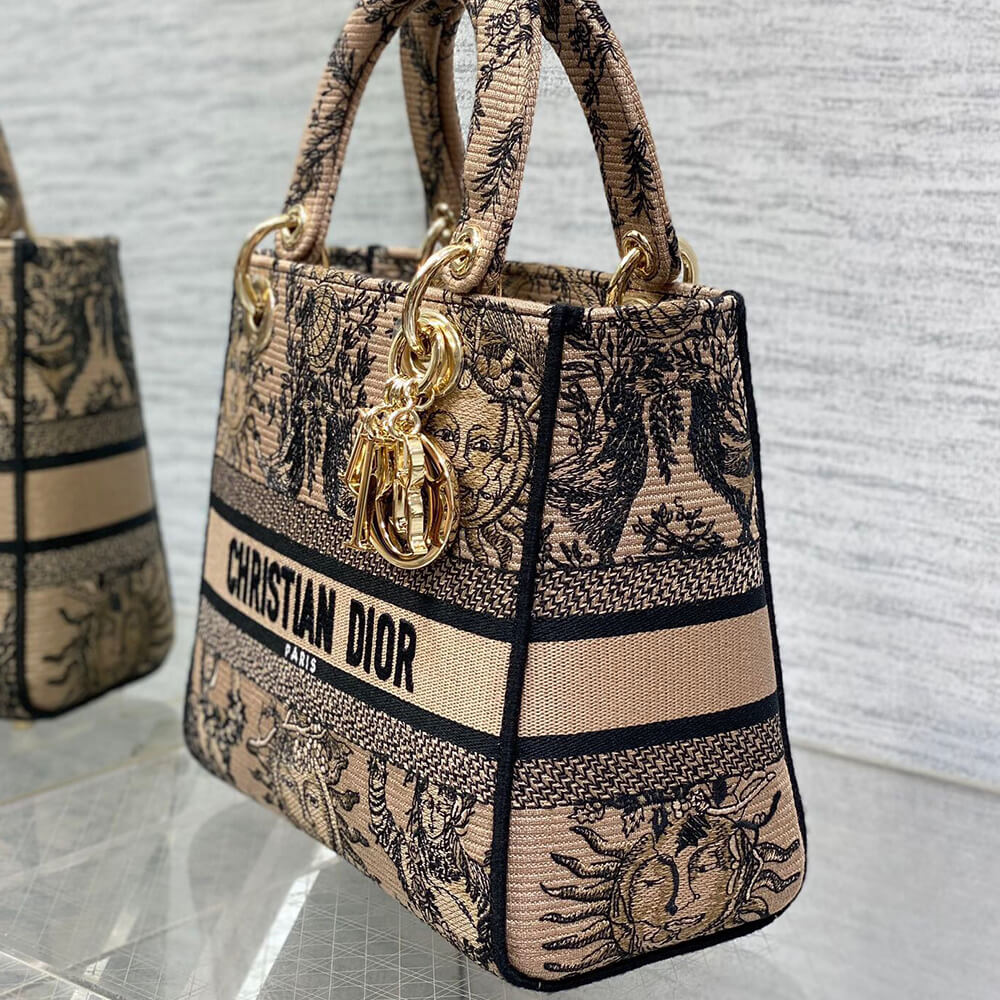 Dior Medium Lady D-Lite Bag - Top Club