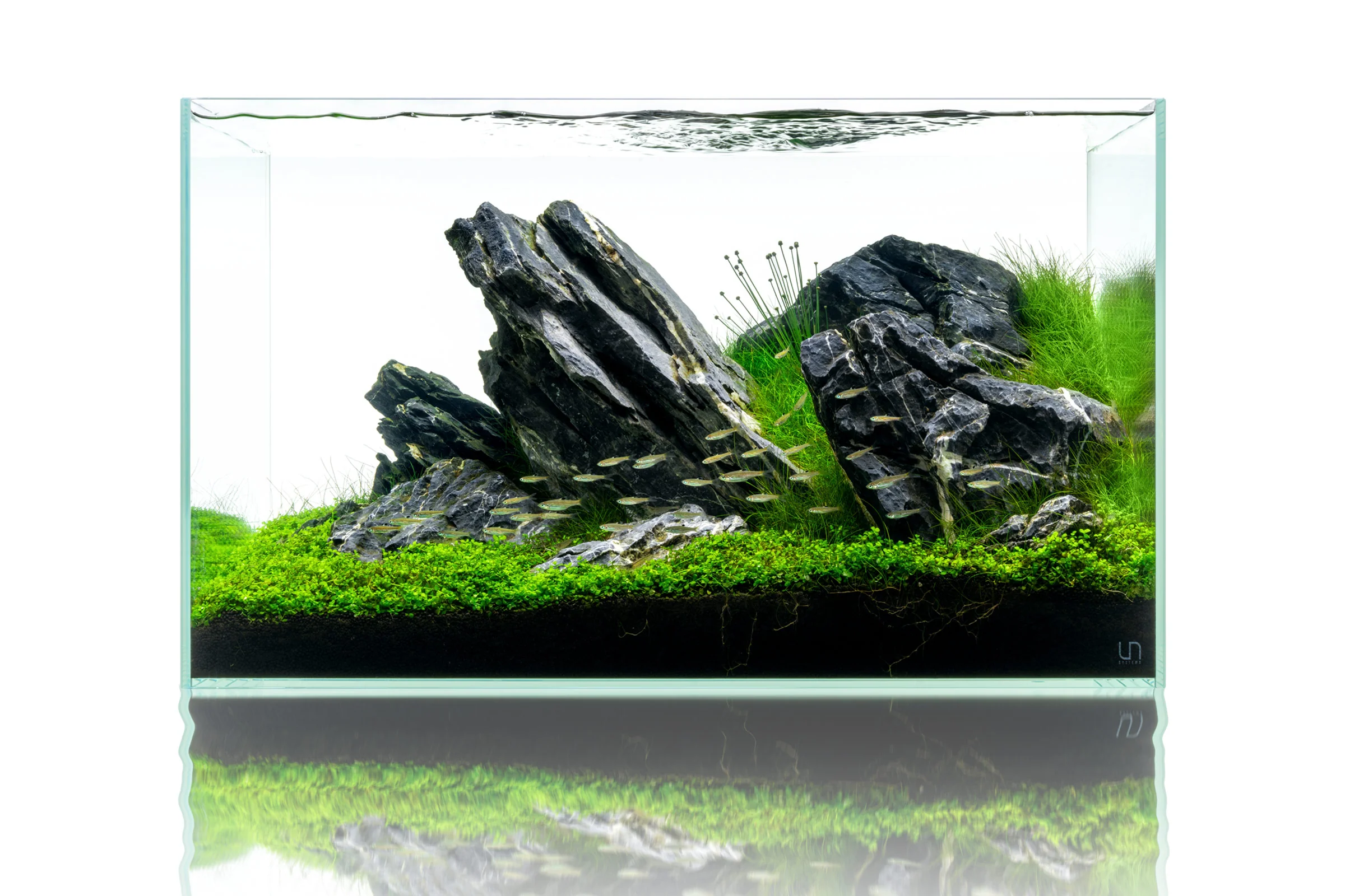 UNS Rimless Standard Glass Aquarium Tank