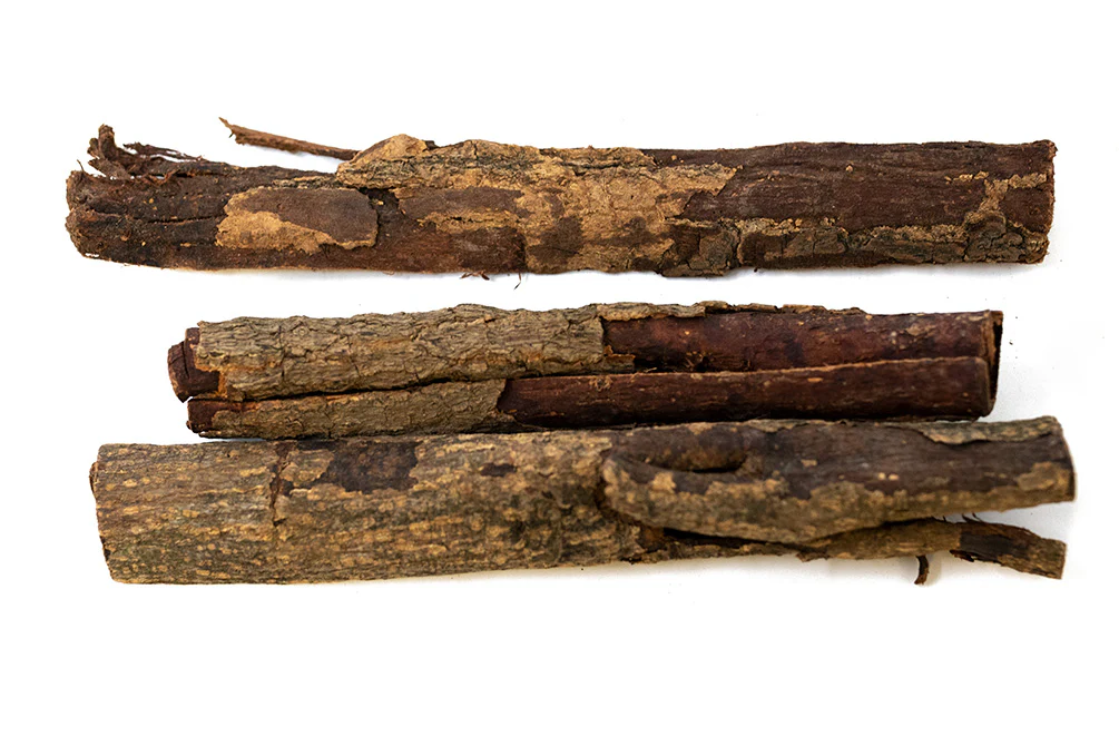 Catappa Bark